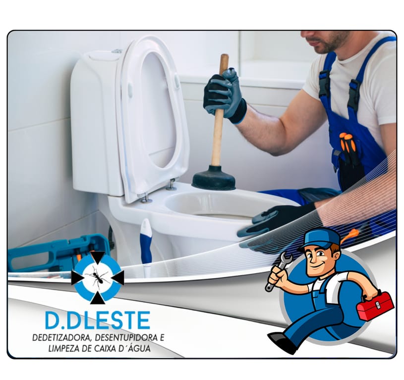 Desentupimento de Vaso